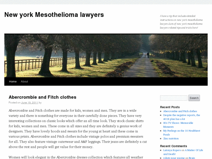 www.new-yorkmesotheliomalawyers.com