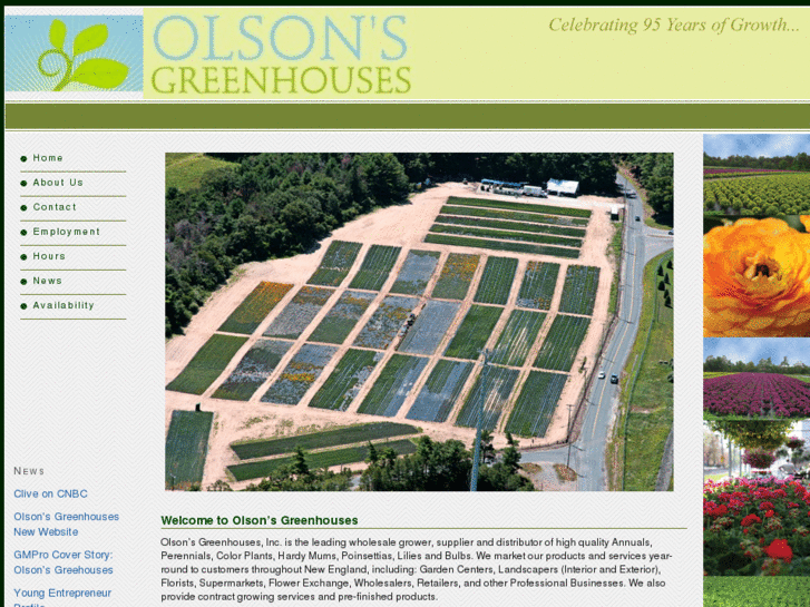 www.olsonsgreenhouses.com