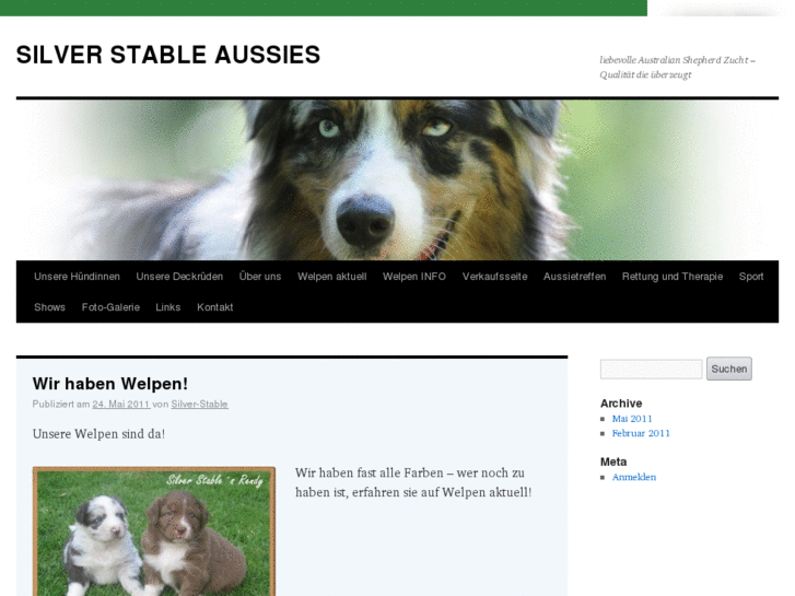 www.silver-stable-aussies.de