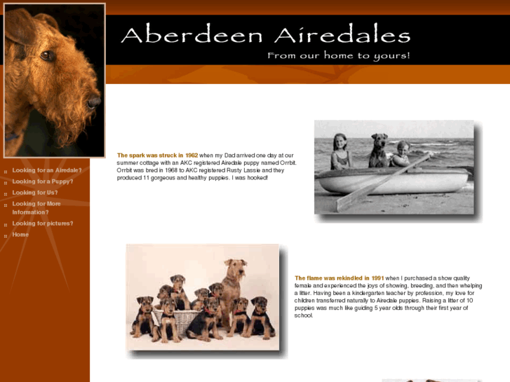 www.aberdeenairedales.com