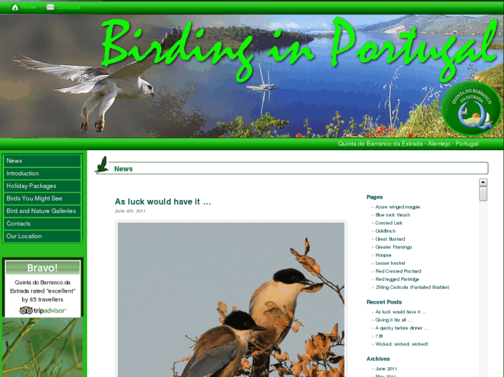 www.birding-in-portugal.com