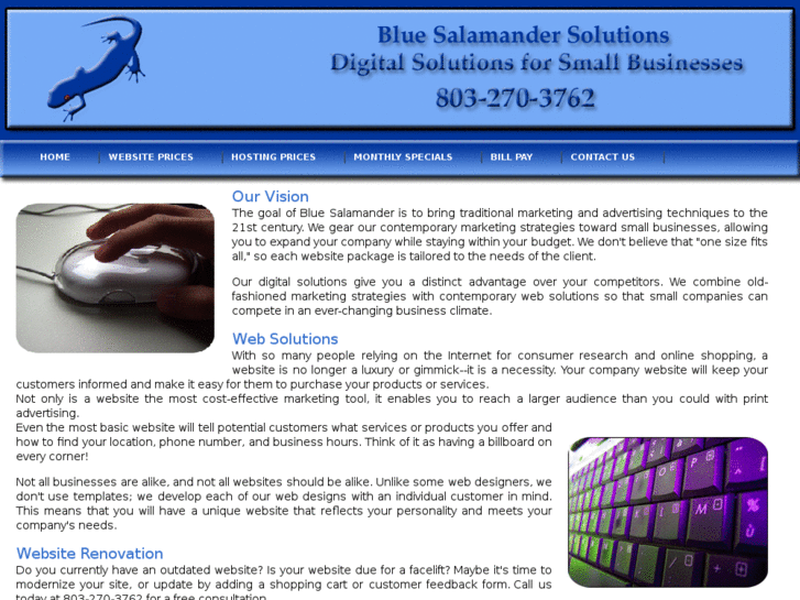 www.bluesalamandersolutions.com