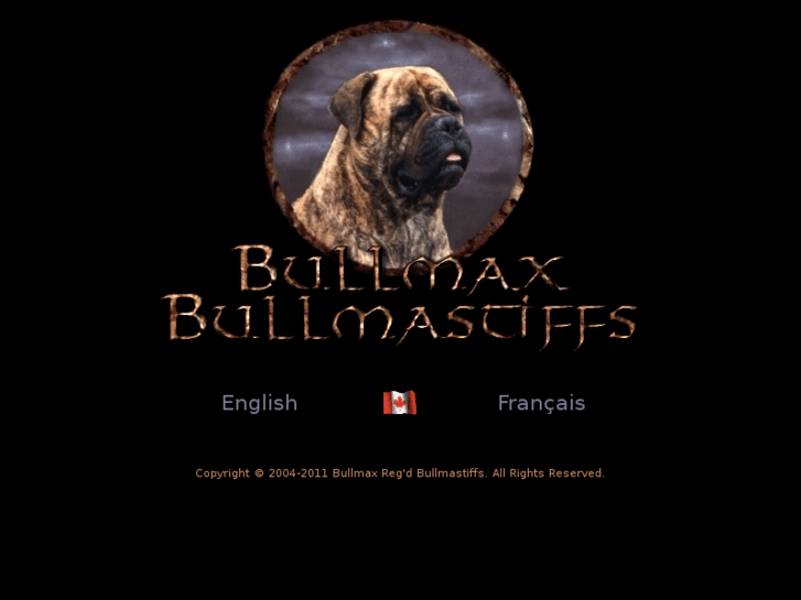 www.bullmaxbullmastiffs.com