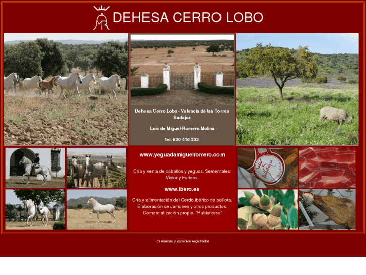 www.cerrolobo.es