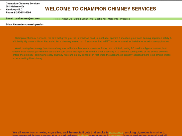 www.championchimneyservices.com