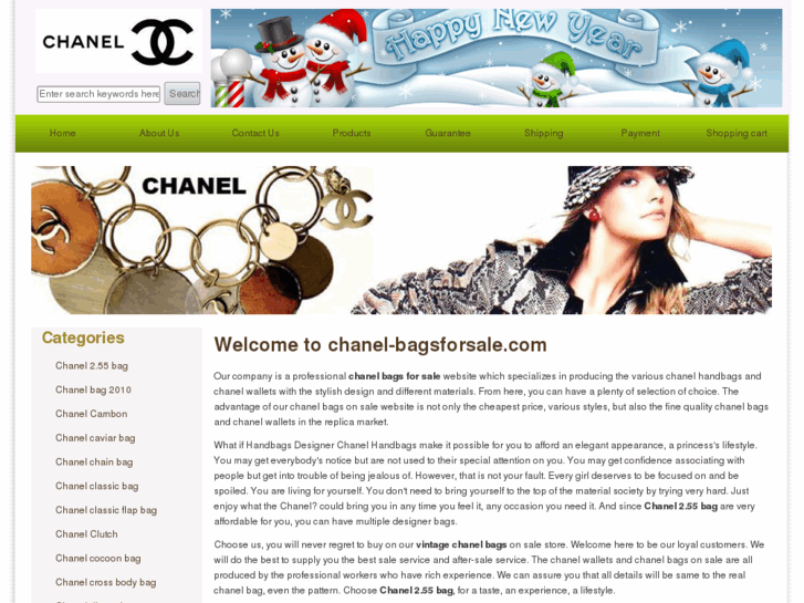 www.chanel-bagsforsale.com