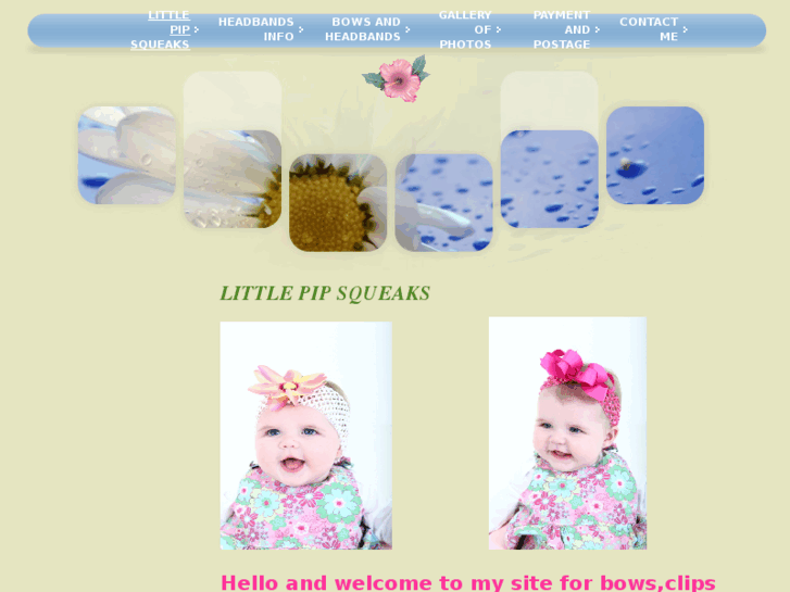 www.littlepipsqueaks.com