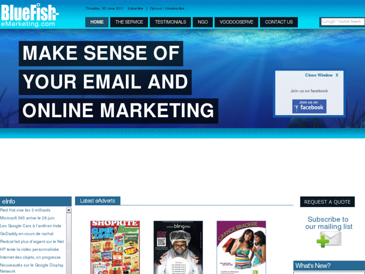 www.bluefish-emarketing.com