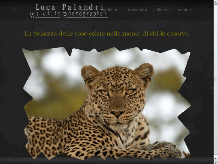 www.lucapalandri.com