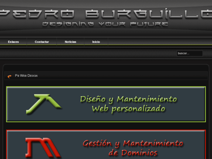 www.pedroburguillo.es