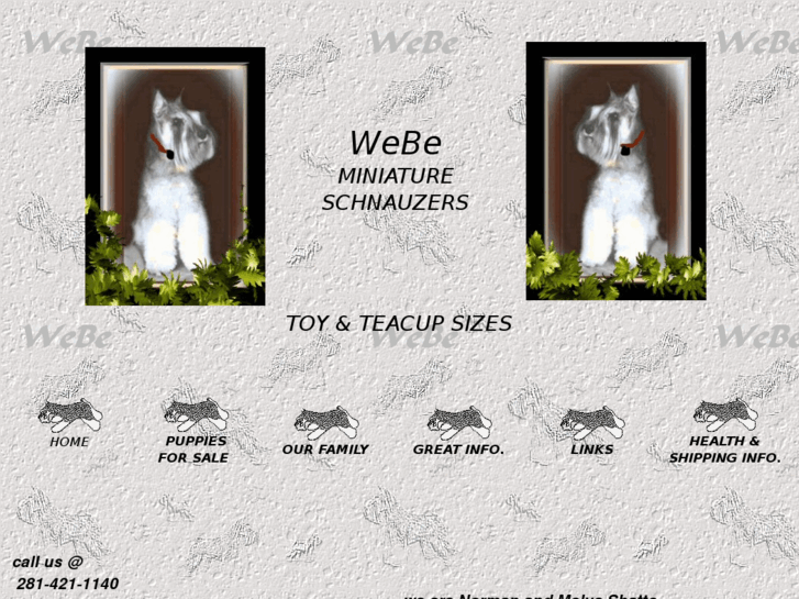 www.toyschnauzer.net