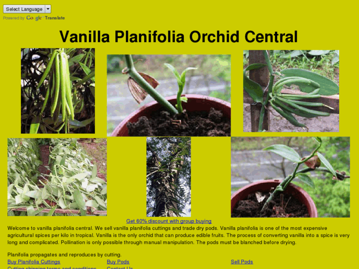 www.vanilla-planifolia.com