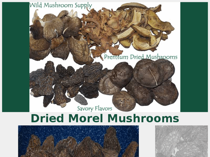 www.driedmorelmushrooms.com