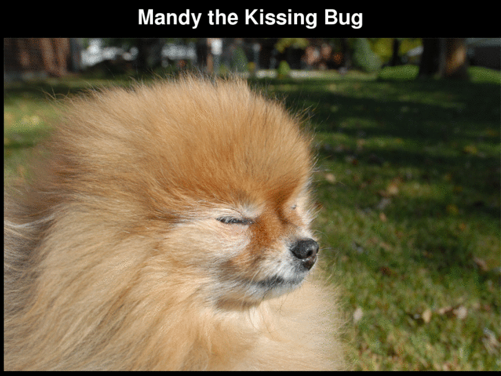 www.mandybug.com