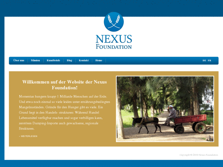 www.nexus-foundation.net