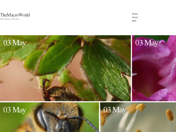 www.themacroworld.com