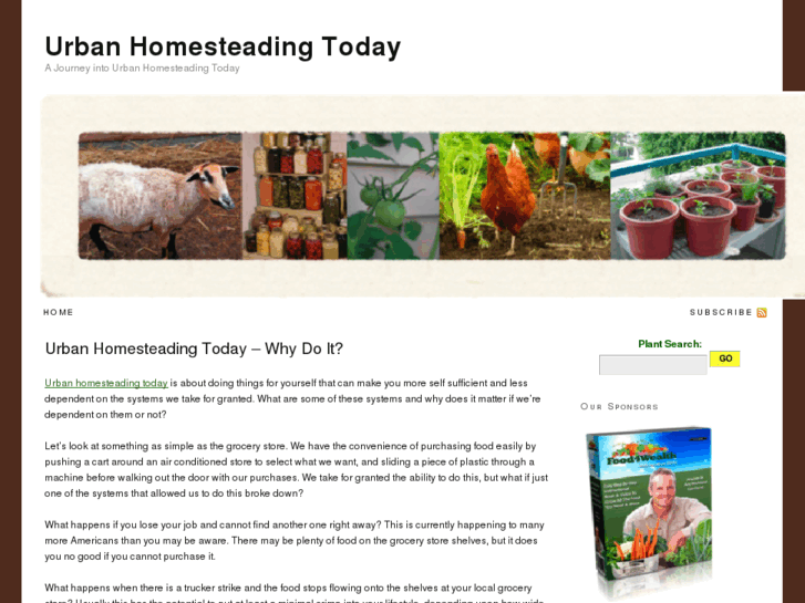 www.urbanhomesteadingtoday.com