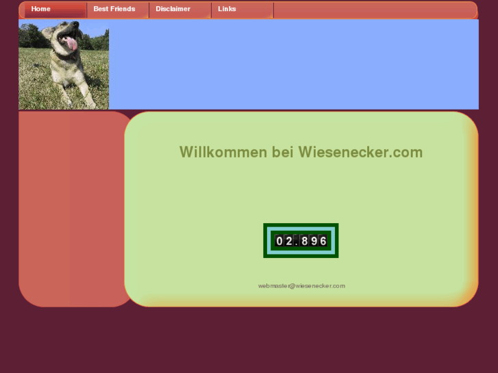 www.wiesenecker.com