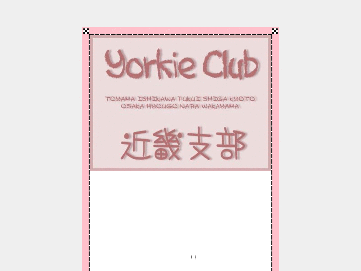 www.yorkieclub-kinki.com