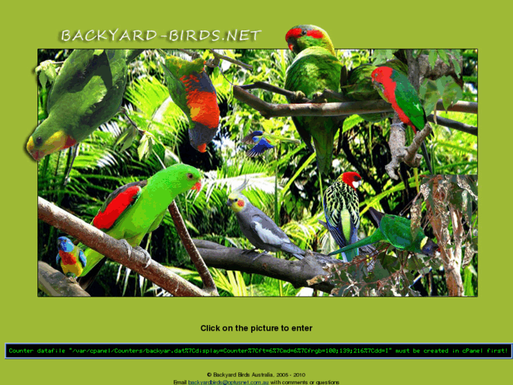 www.backyard-birds.net