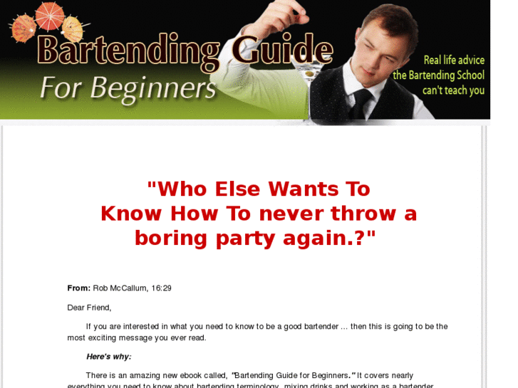 www.bartendingguideforbeginners.com