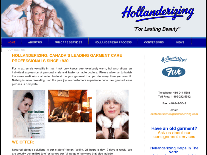 www.hollanderizing.com