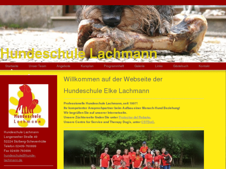 www.hundeschule-lachmann.com