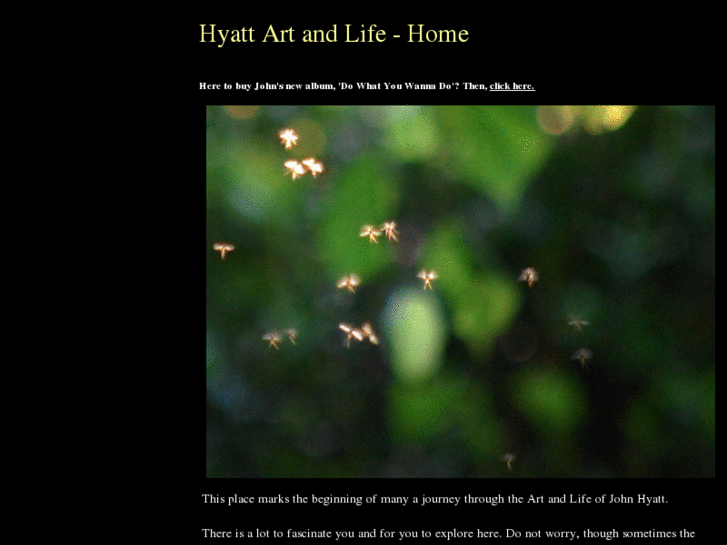 www.hyattartandlife.com