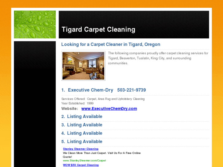 www.tigardcarpetcleaning.com