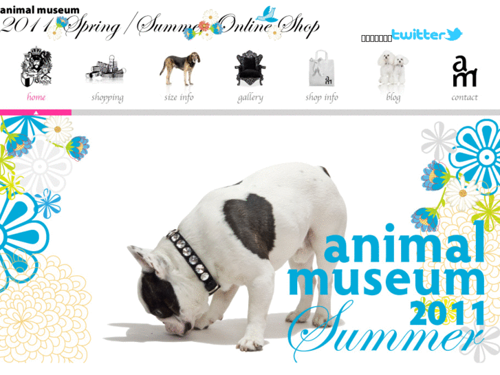 www.animal-museum.com