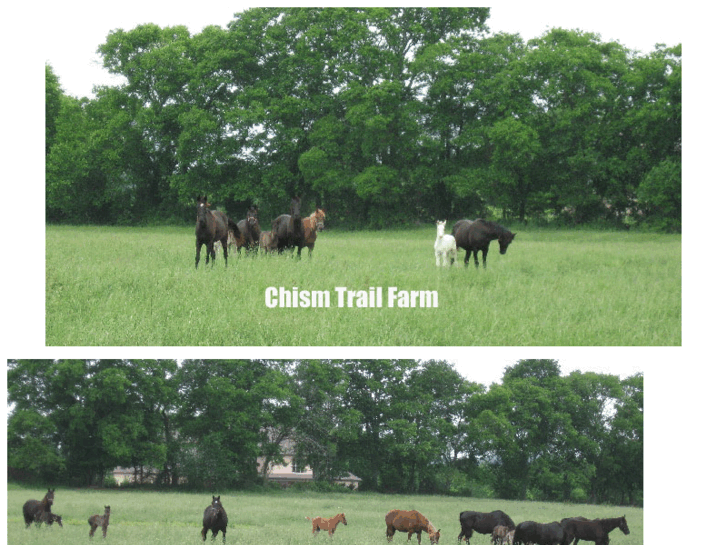 www.chismtrailfarm.com