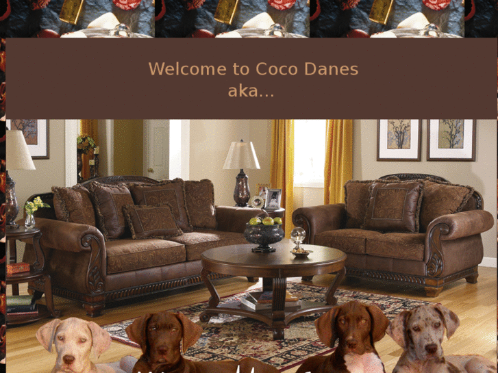 www.cocodanes.com