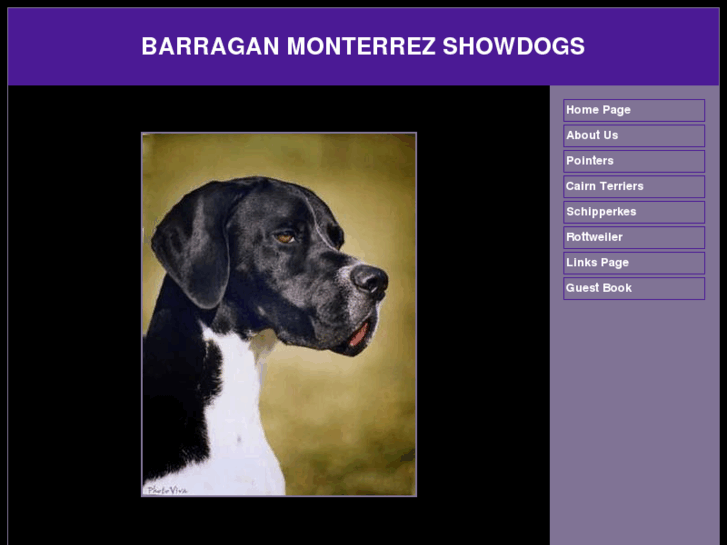 www.barraganmonterrez.com