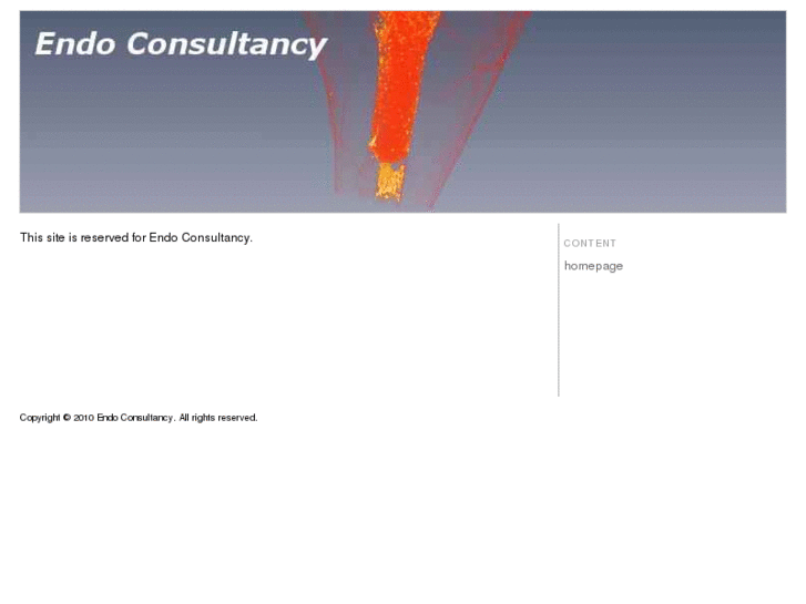 www.endoconsultancy.com