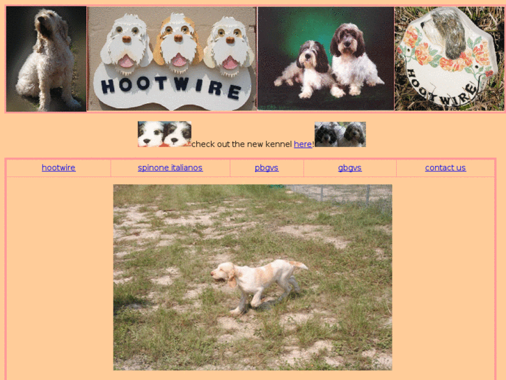 www.hootwirekennel.com