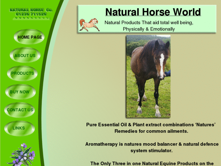 www.natural-horse.org