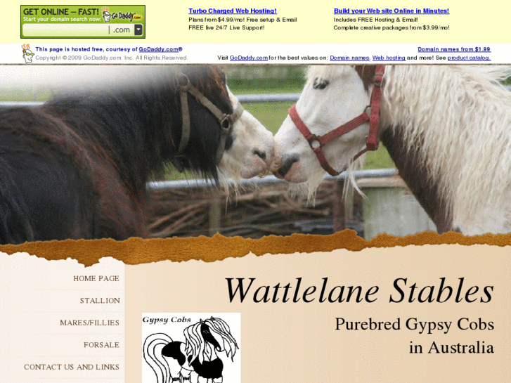 www.wattlelanestables.com