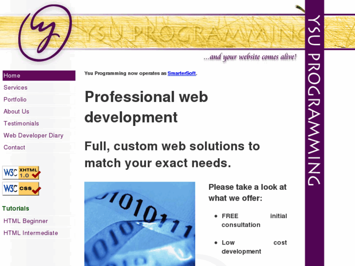 www.ysuprogramming.com