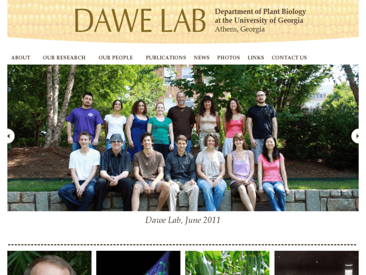 www.dawelab.org