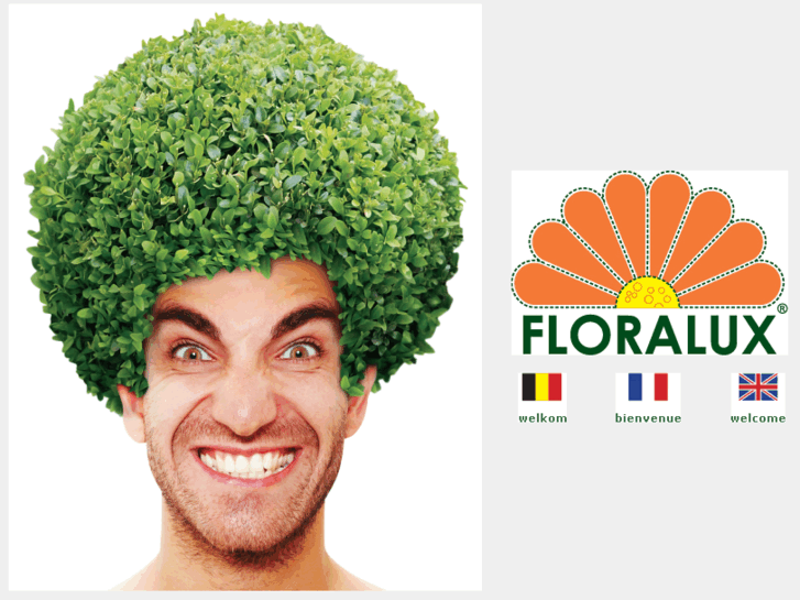 www.floralux.com