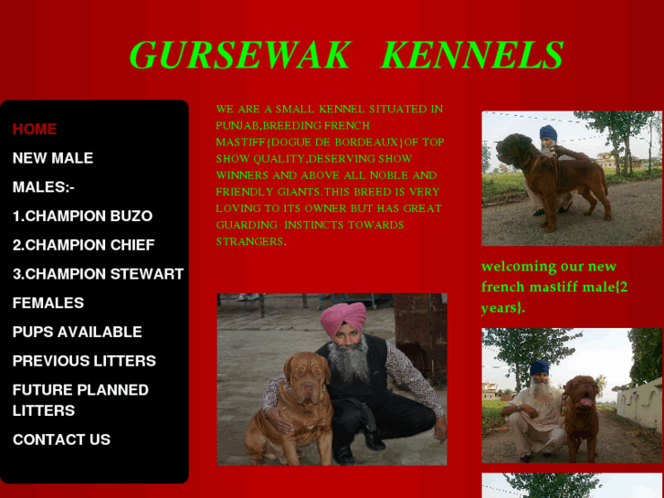 www.gursewakkennel.com