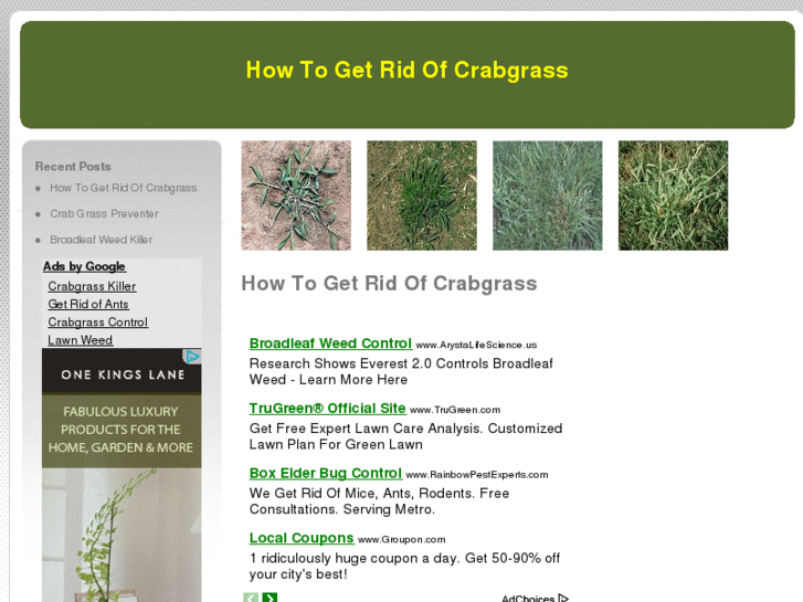 www.howtogetridofcrabgrass.com