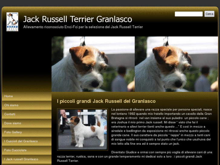 www.jackrussellgranlasco.com