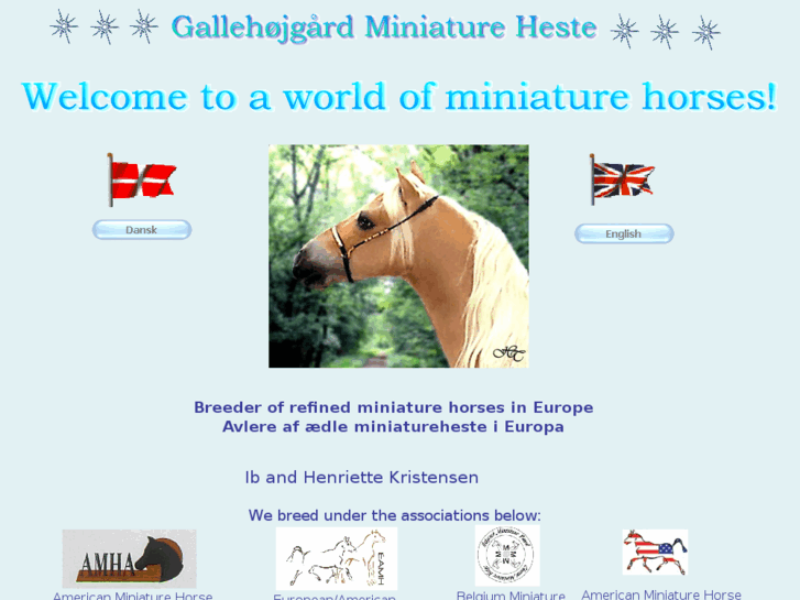 www.miniatureheste.dk