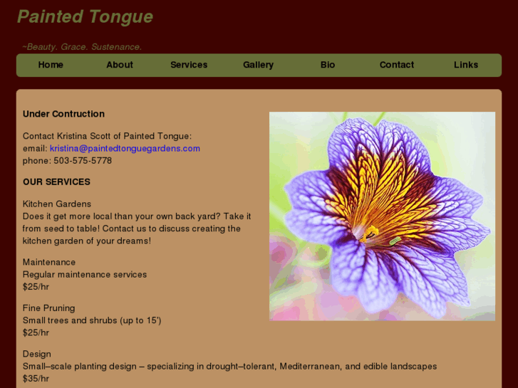 www.paintedtonguegardens.com