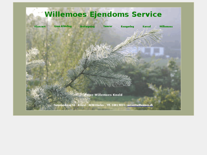 www.willemoes.biz