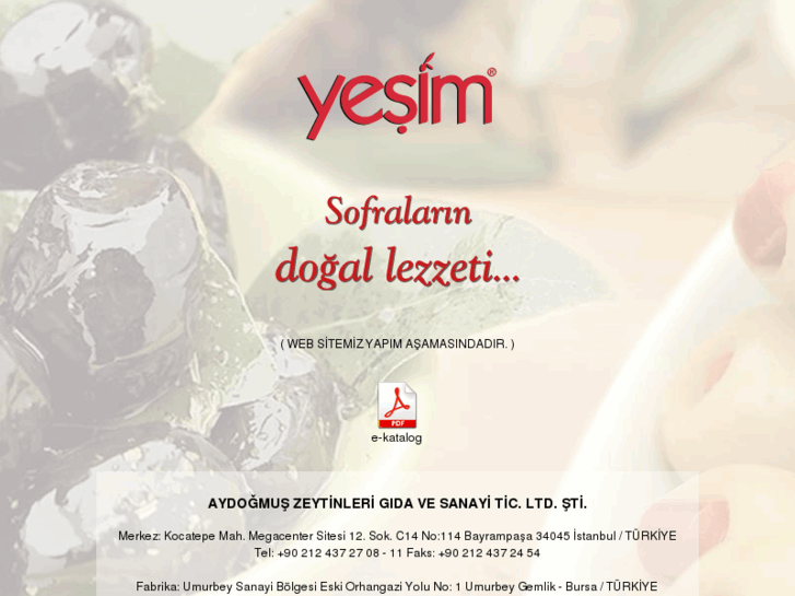 www.yesimzeytin.com