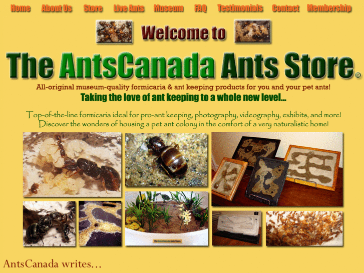 www.antscanada.com