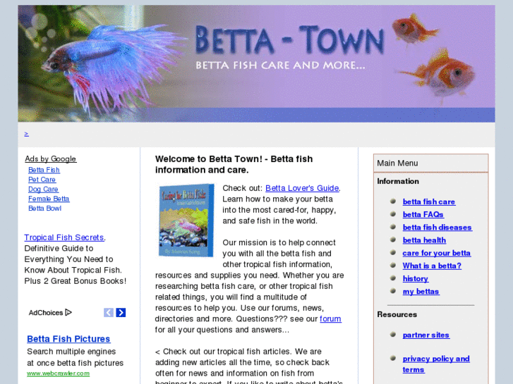 www.betta-town.com