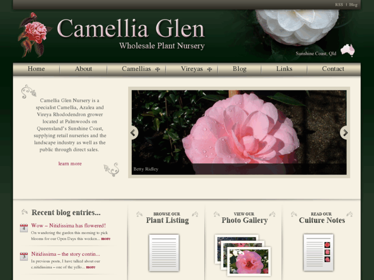 www.camelliaglen.com